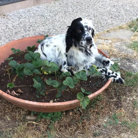 컨트리하우스 Casetta Tartuchino *