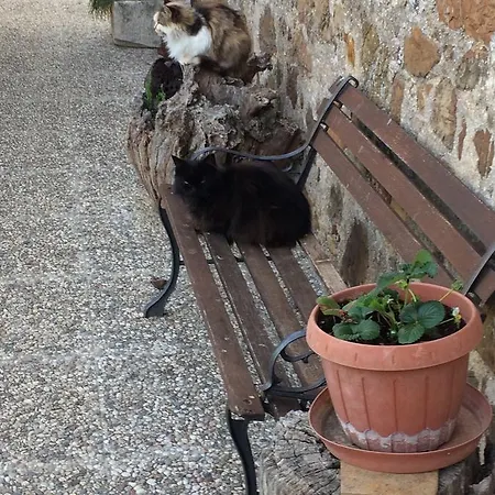 컨트리하우스 Casetta Tartuchino 셈프로니아노