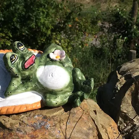 컨트리하우스 Casetta Tartuchino 셈프로니아노