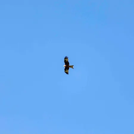 Casetta Tartuchino *