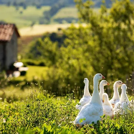 컨트리하우스 Casetta Tartuchino