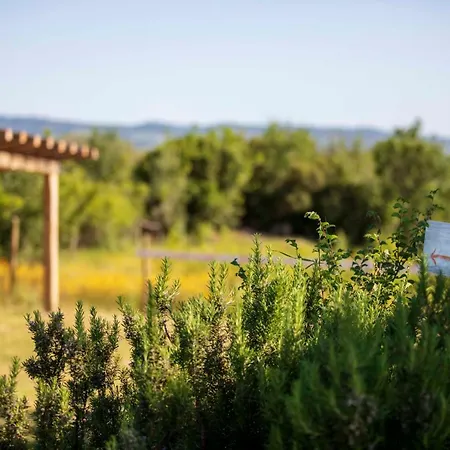 Holiday home Casetta Tartuchino